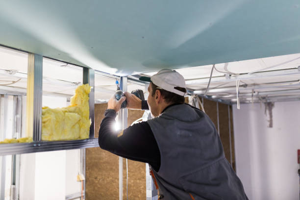 Best Local Insulation Services  in South Lockport, NY