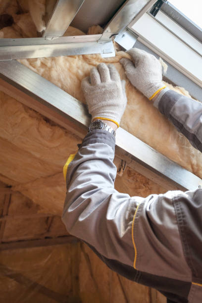 Best Wall Insulation Contractor  in South Lockport, NY