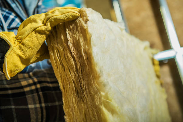 Best Insulation Contractor Near Me  in South Lockport, NY