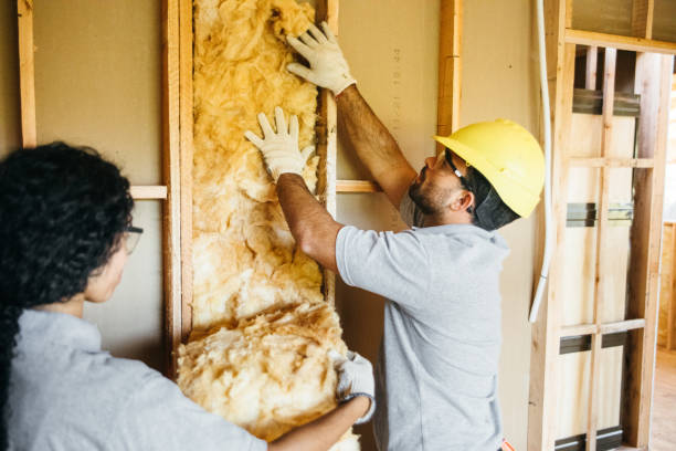 Best Insulation Contractor Near Me  in South Lockport, NY