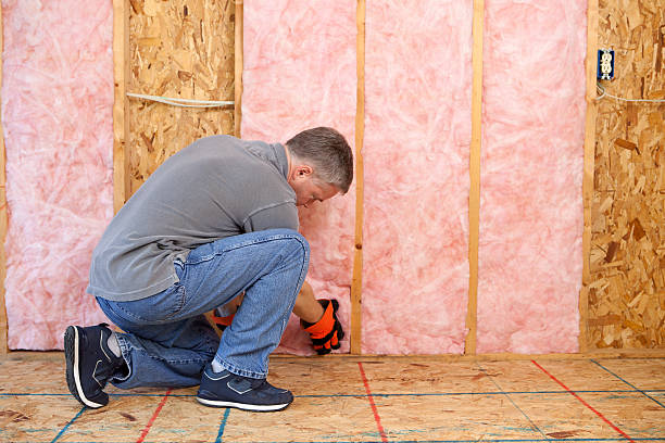 Best Insulation Contractors for Homes  in South Lockport, NY