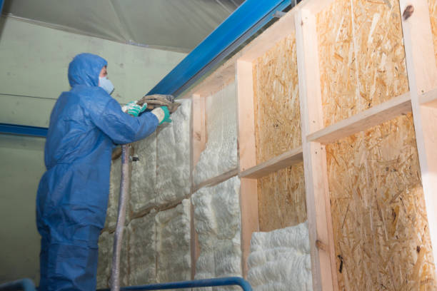 Best Wall Insulation Contractor  in South Lockport, NY