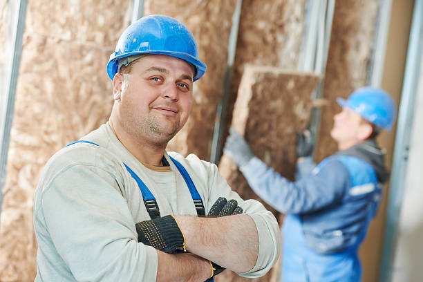 Best Insulation Replacement Services  in South Lockport, NY