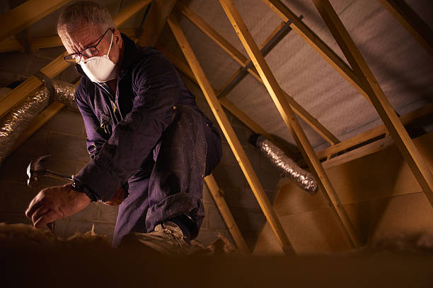 Best Best Insulation Companies  in South Lockport, NY